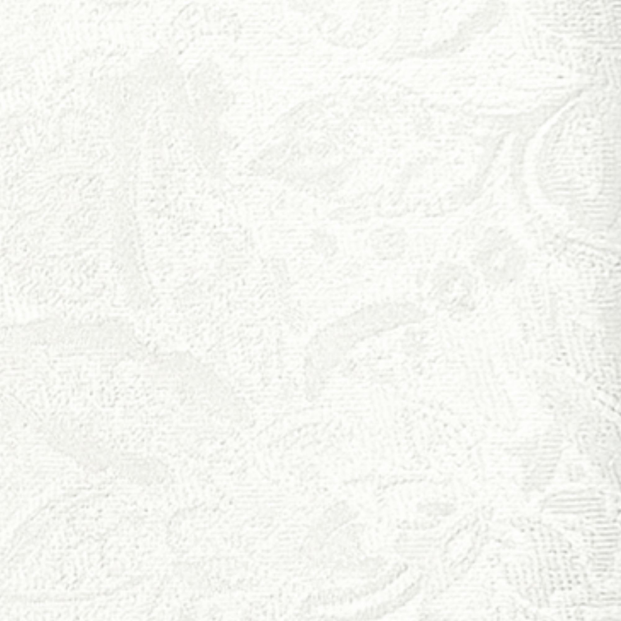 Floral Paisley Diamond White