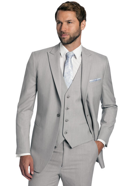 Light Grey Griffin