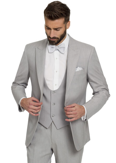 Light Grey Griffin