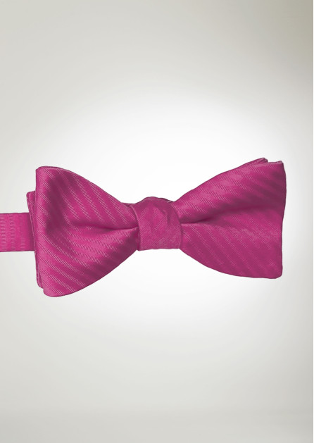 Modern Solid Striped Begonia Bow