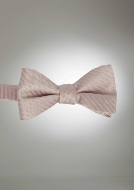 Modern Solid Striped Biscotti Bow