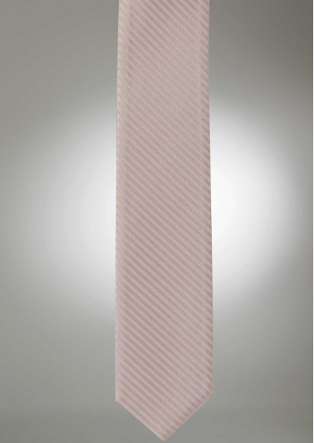 Modern Solid Striped Biscotti Tie