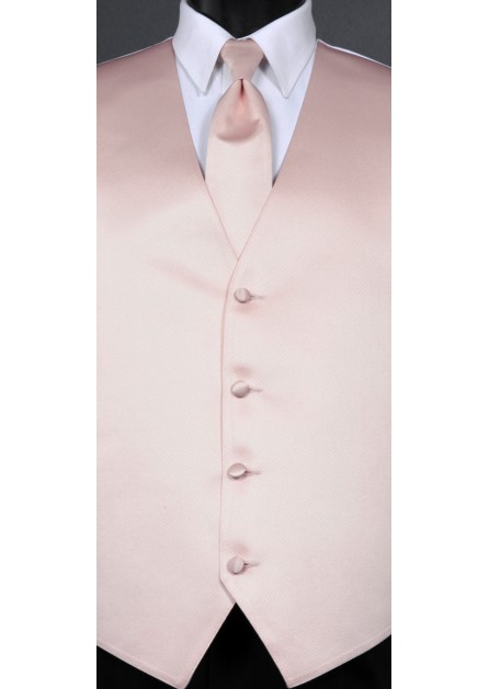Modern Solid Striped Blush Tie