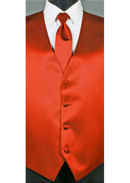 Modern Solid Striped Burnt Orange Long Tie