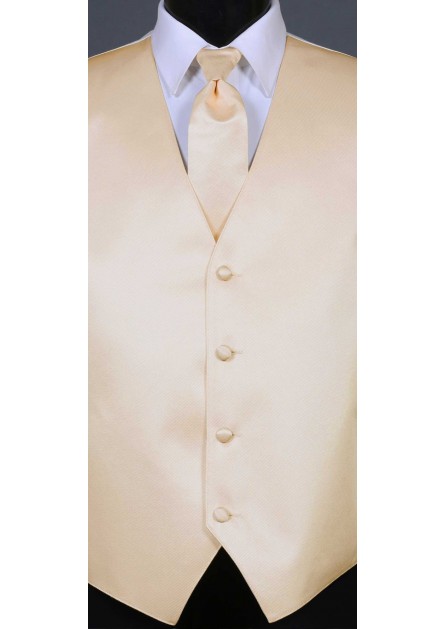 Modern Solid Striped Champagne Tie