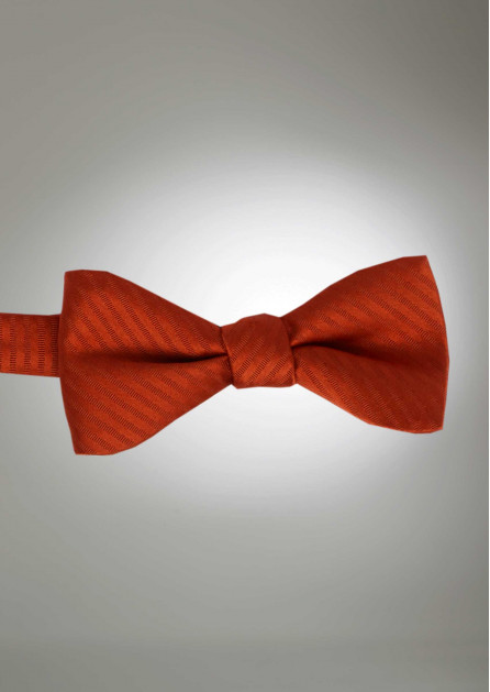 Modern Solid Striped Cinnamon Bow