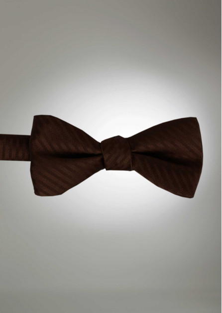 Modern Solid Striped Cocoa Bow