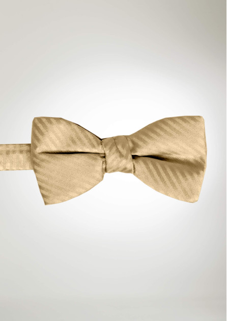 Modern Solid Striped Golden Bow