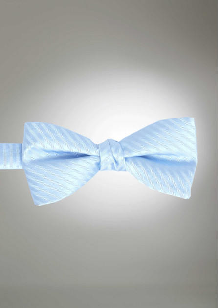 Modern Solid Striped Ice Blue Bow