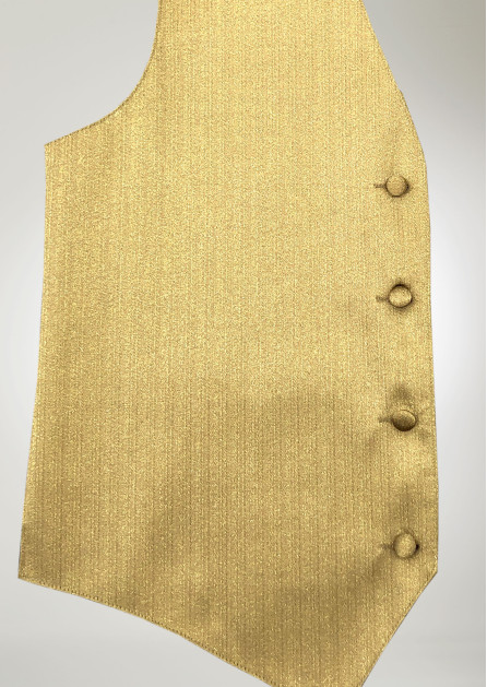 Modern Solid Lame Gold Vest