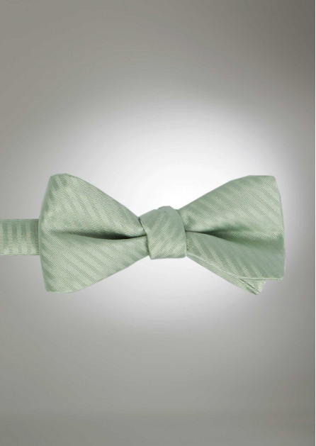 Modern Solid Striped Meadow Bow