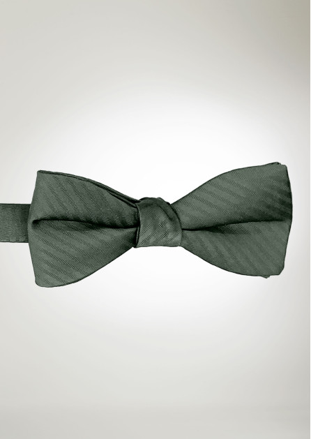 Modern Solid Striped Moss Bow