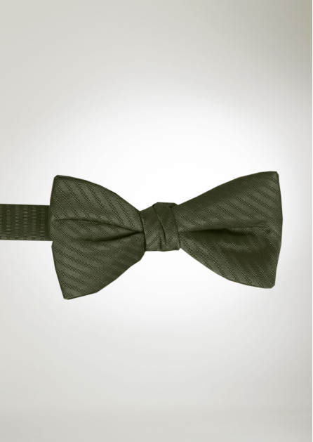 Modern Solid Striped Olive Bow