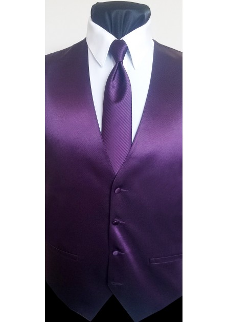 Modern Solid Striped Plum Tie