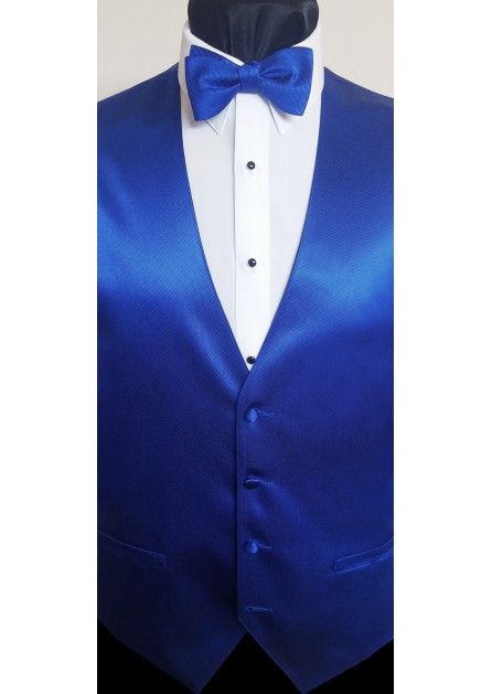 Modern Solid Striped Royal Blue Bow