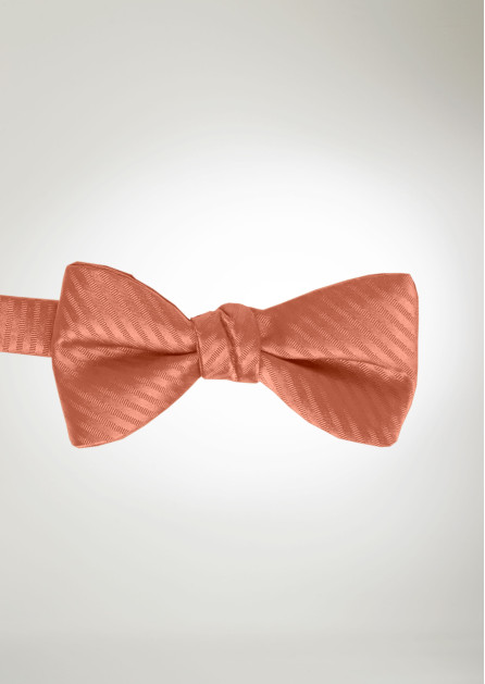 Modern Solid Striped Sedona Bow
