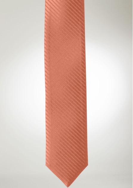 Modern Solid Striped Sedona Tie