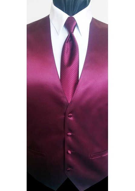 Modern Solid Striped Wine Tie