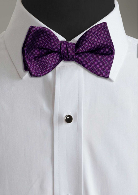Allure Box Aubergine Bow Tie