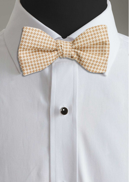 Allure Box Cinnamon Bow Tie