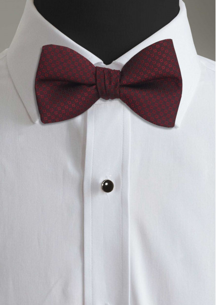 Allure Box Wine Bow Tie