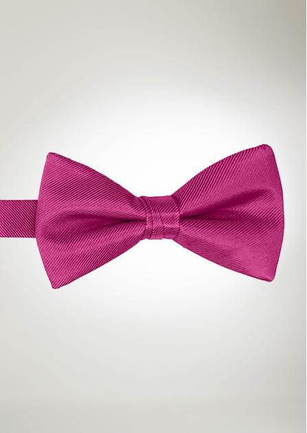 Modern Solid Begonia Bow