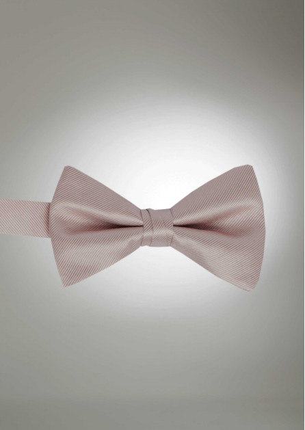 Modern Solid Biscotti Bow