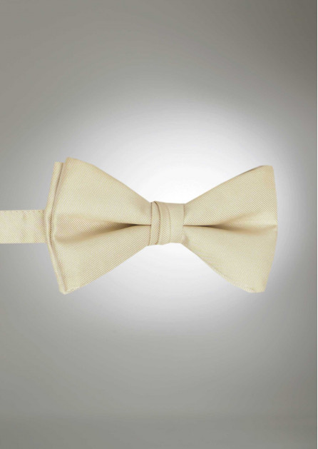 Modern Solid Champagne Bow