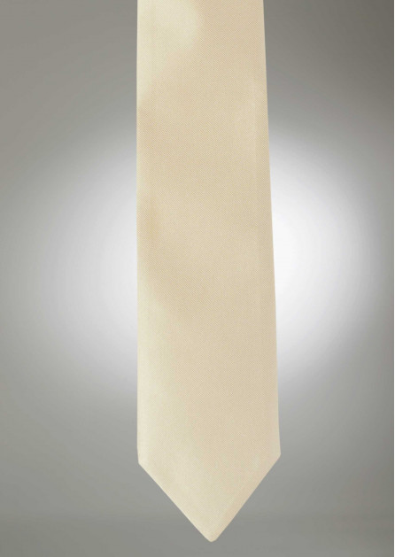 Modern Solid Champagne Tie