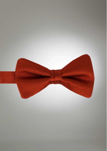 Modern Solid Cinnamon Bow