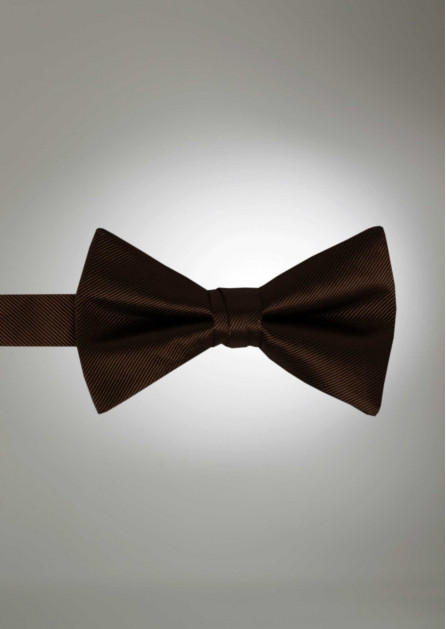 Modern Solid Cocoa Bow