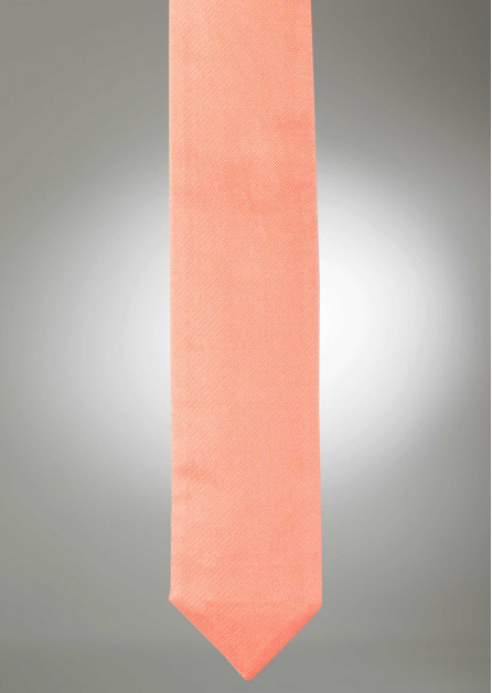 Modern Solid Coral Reef Tie
