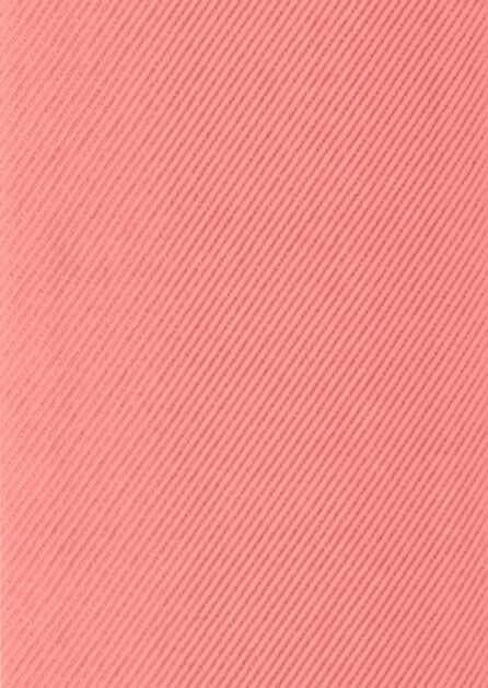 Modern Solid Coral Reef Swatch