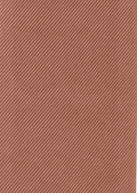 Modern Solid Desert Coral Swatch
