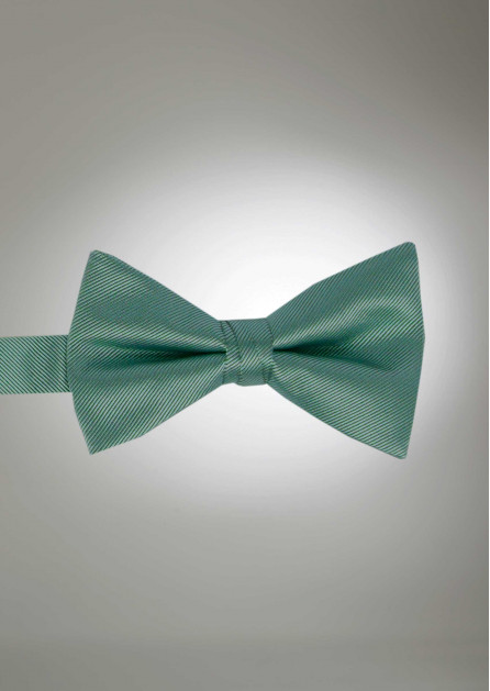 Modern Solid Dusty Sage Bow