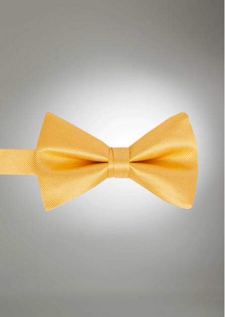 Modern Solid Gold Bow