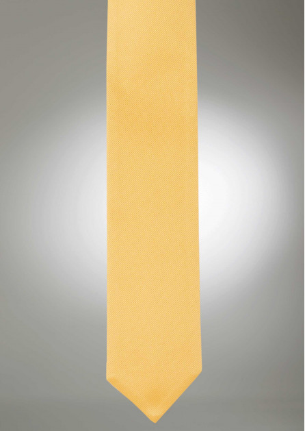 Modern Solid Gold Tie