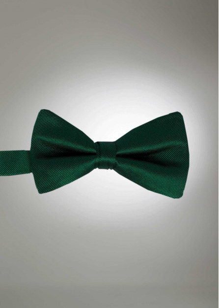Modern Solid Hunter Bow