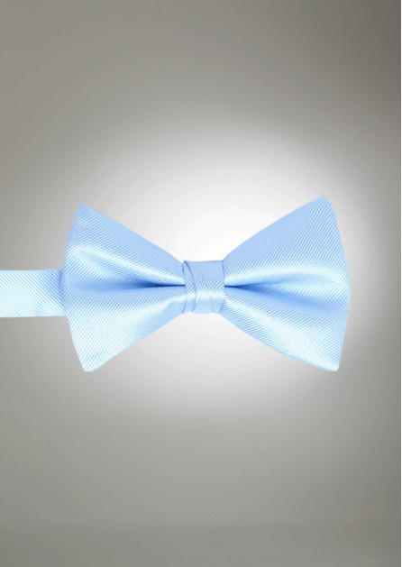 Modern Solid Ice Blue Bow