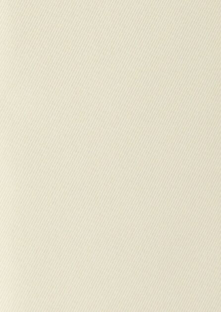 Modern Solid Ivory Swatch