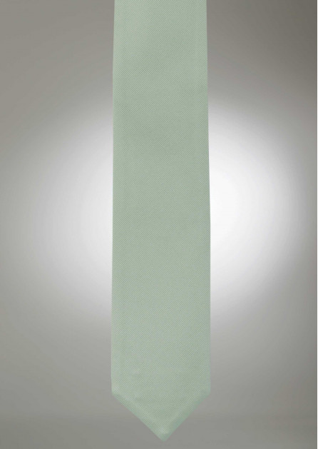 Modern Solid Meadow Tie