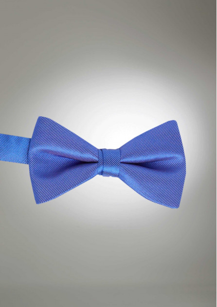 Modern Solid Morning Glory Bow