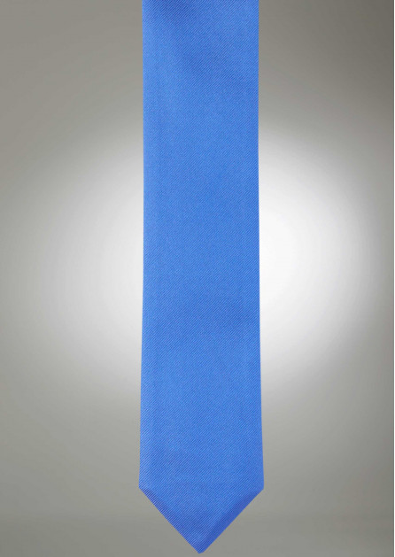 Modern Solid Morning Glory Tie