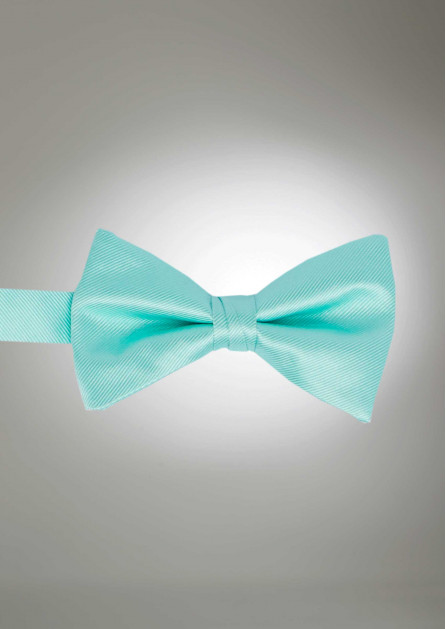Modern Solid Mint Bow
