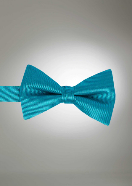 Modern Solid Oasis Bow