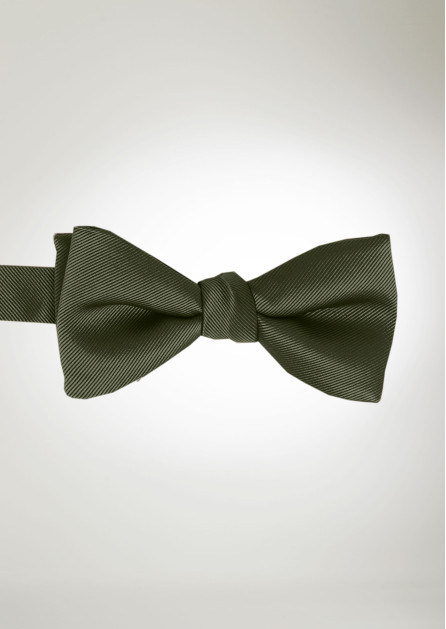 Modern Solid Olive Bow