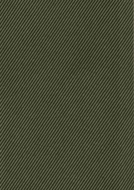 Modern Solid Olive Swatch