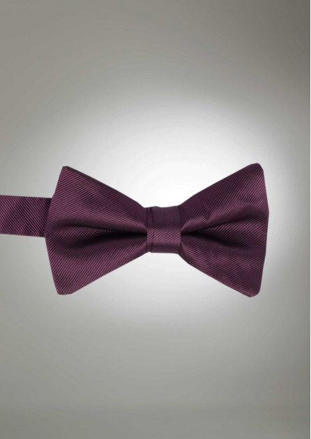 Modern Solid Plum Bow