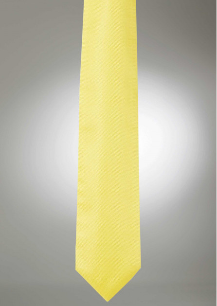 Modern Solid Sunbeam Tie