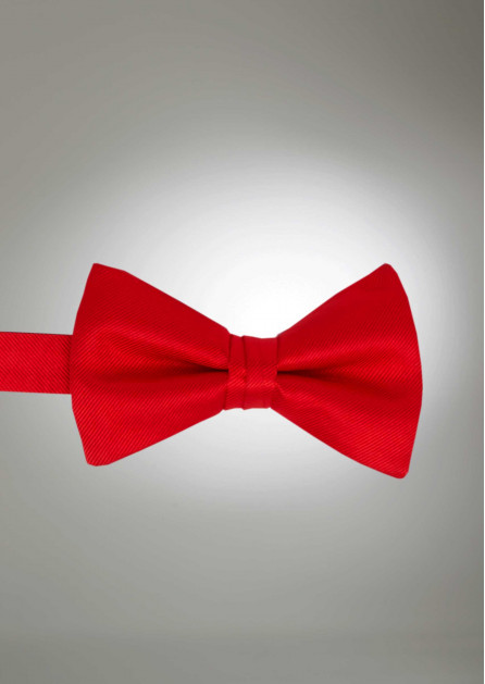 Modern Solid Valentina Bow